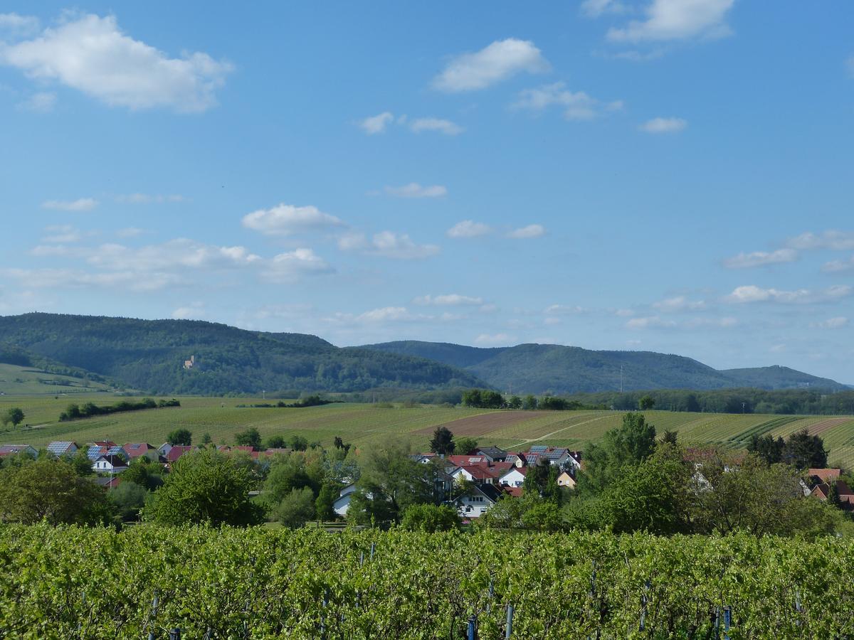 Gaestehaus Annel Niederhorbach Exteriér fotografie