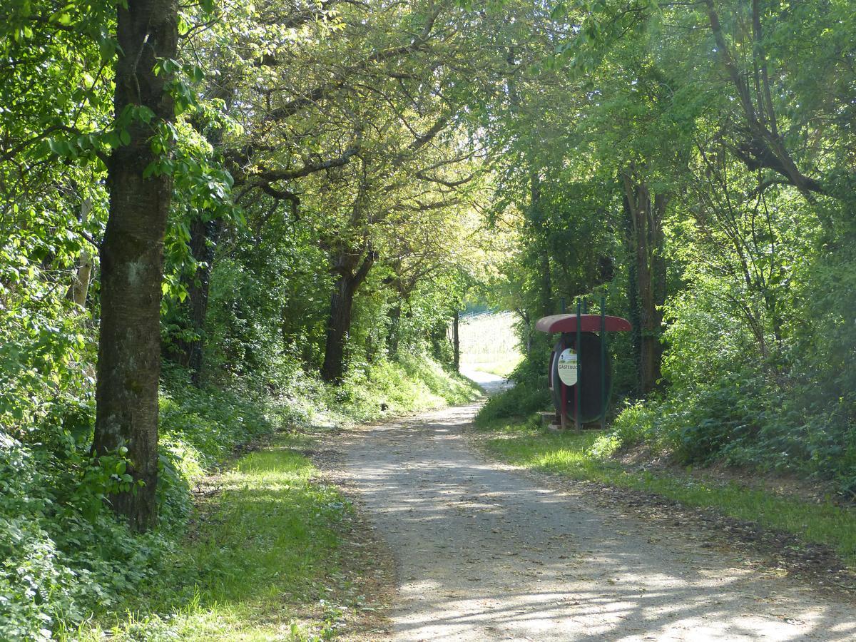 Gaestehaus Annel Niederhorbach Exteriér fotografie