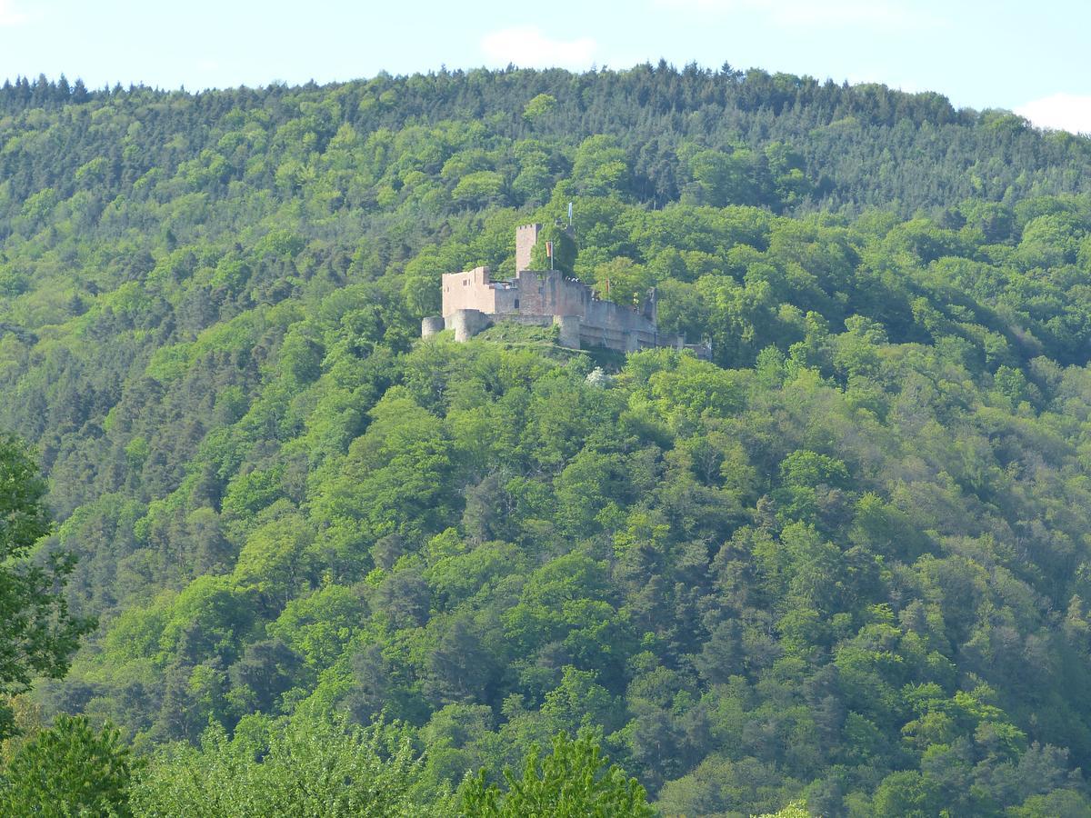 Gaestehaus Annel Niederhorbach Exteriér fotografie